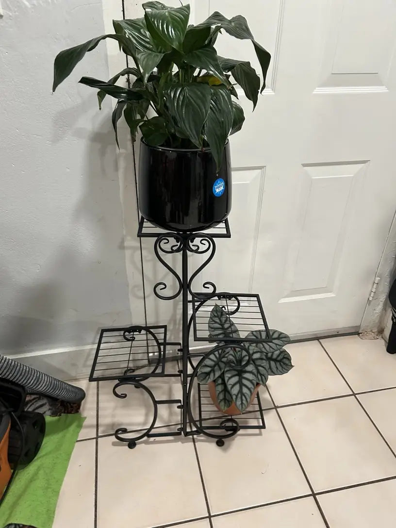 Metal Plant Stand