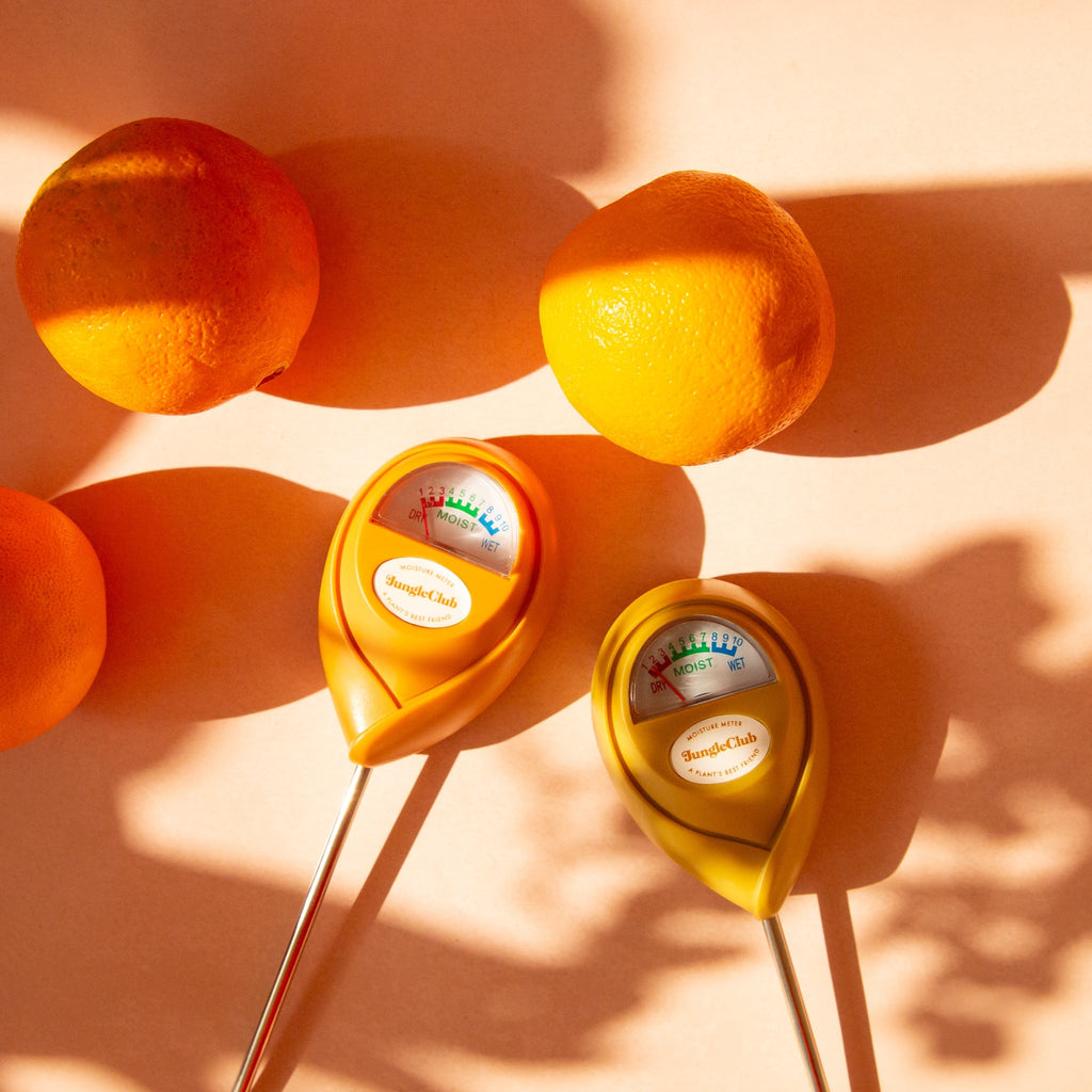 Moisture Meter | Green Jungle Club