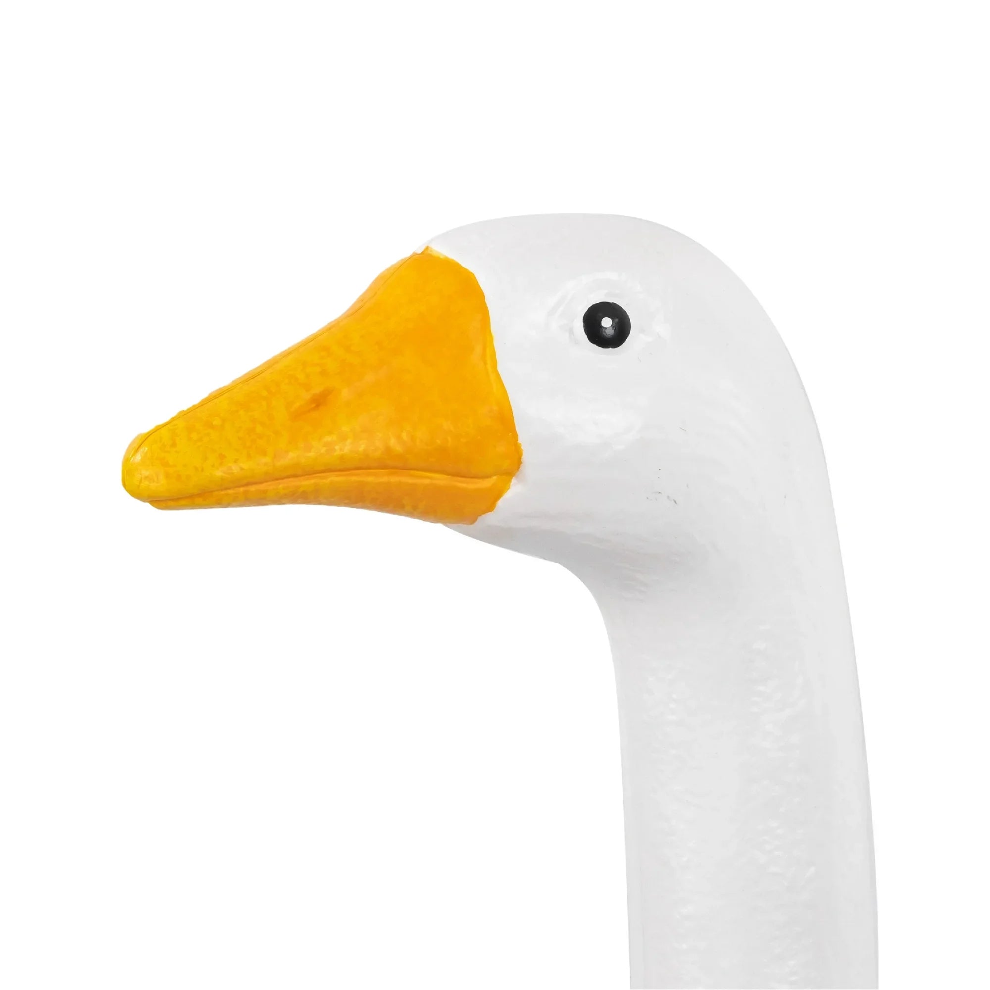 Close-up of a goose head with a white background