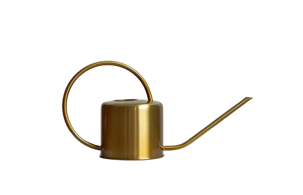 Metal Watering Can