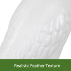 Close-up of a feather with 'Realistic Feather Texture' text at the bottom.