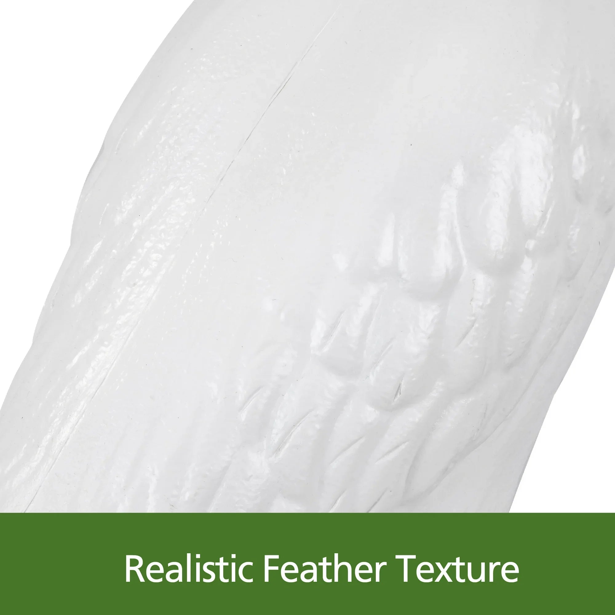 Close-up of a feather with 'Realistic Feather Texture' text at the bottom.