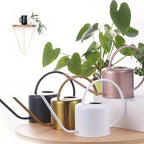 Metal Watering Can