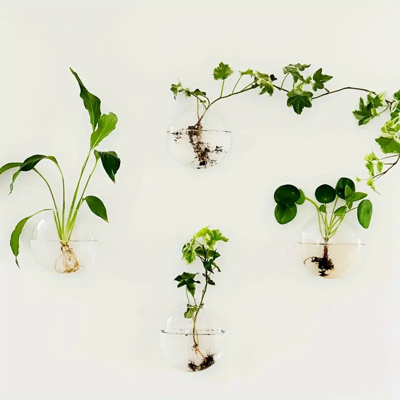Plant Glass Terrarium
