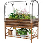 Wooden raised garden bed with clear cover and plants on a white background
