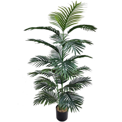 Areca Palm Tree in Black Planter - Green Thumb Haven