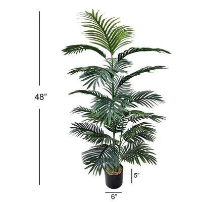 Areca Palm Tree in Black Planter - Green Thumb Haven