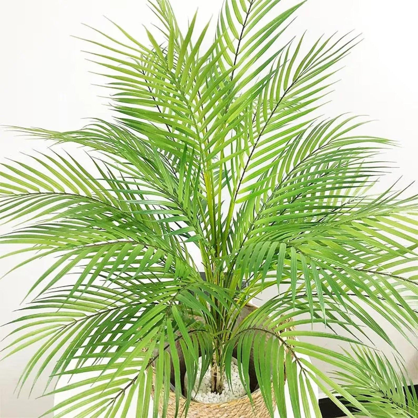 Artificial Palm Tree - Green Thumb Haven