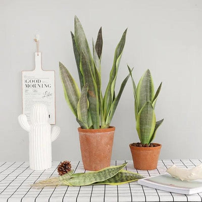 Artificial Snake Plant - Green Thumb Haven