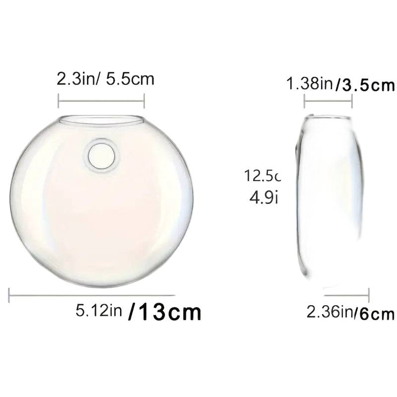 Two glass vases with measurements indicated on a white background
