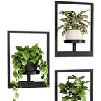 Three wall-mounted planters with black frames and plants inside on a white background