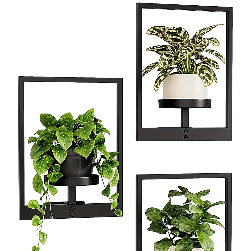 Three wall-mounted planters with black frames and plants inside on a white background