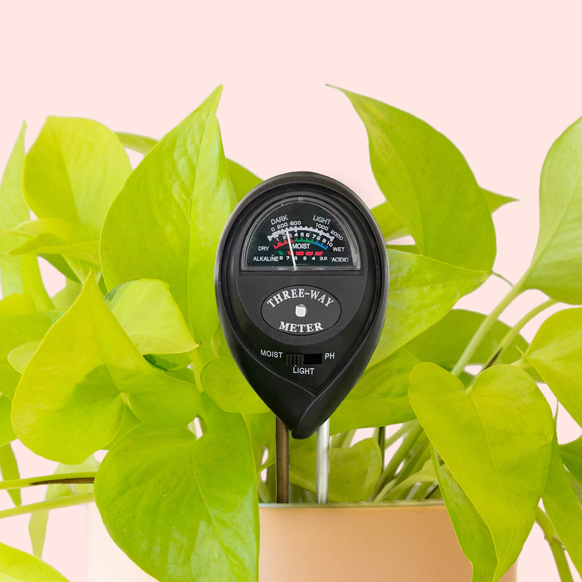 3-in-1 Moisture Meter | Black - Green Thumb Haven