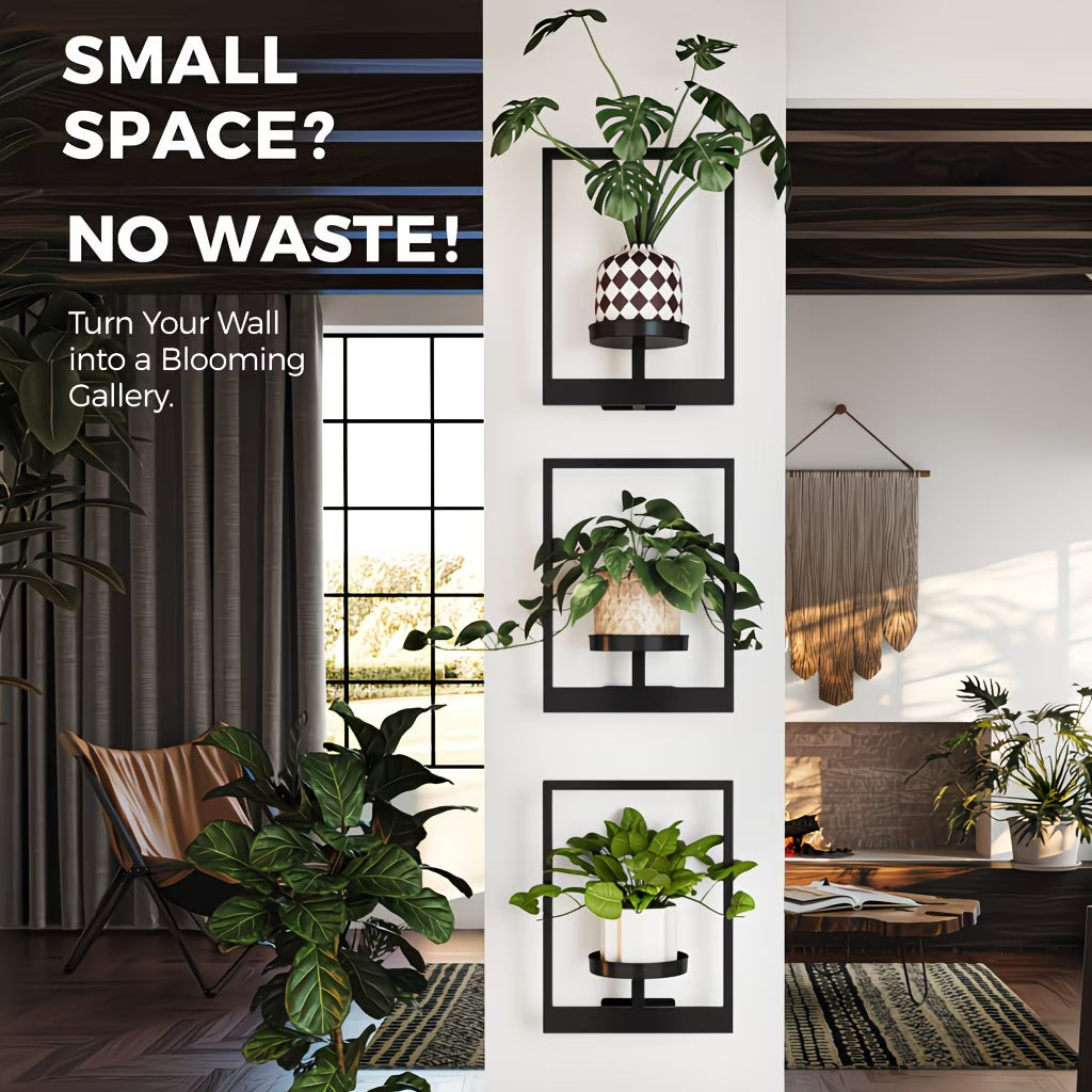 Wall with framed planters and decorative items, promoting a no-waste wall art solution.