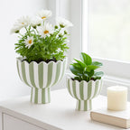 Scalloped Ceramic Planter Green Thumb Haven