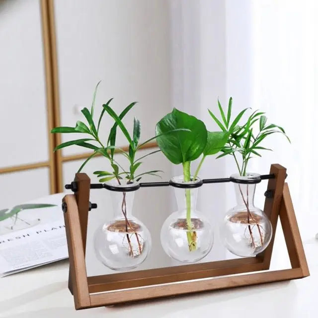 Three glass vases with plants on a wooden tray against a white background