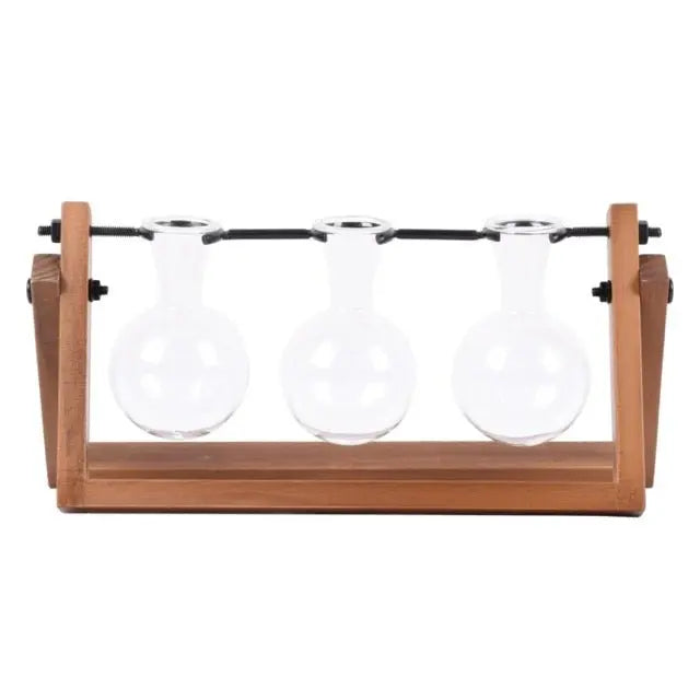 Three glass bulbs in a wooden holder on a white background