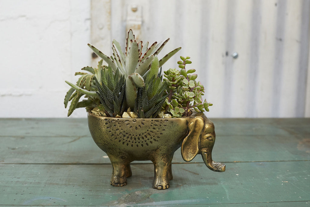 Ezzie Elephant Planter - Green Thumb Haven 