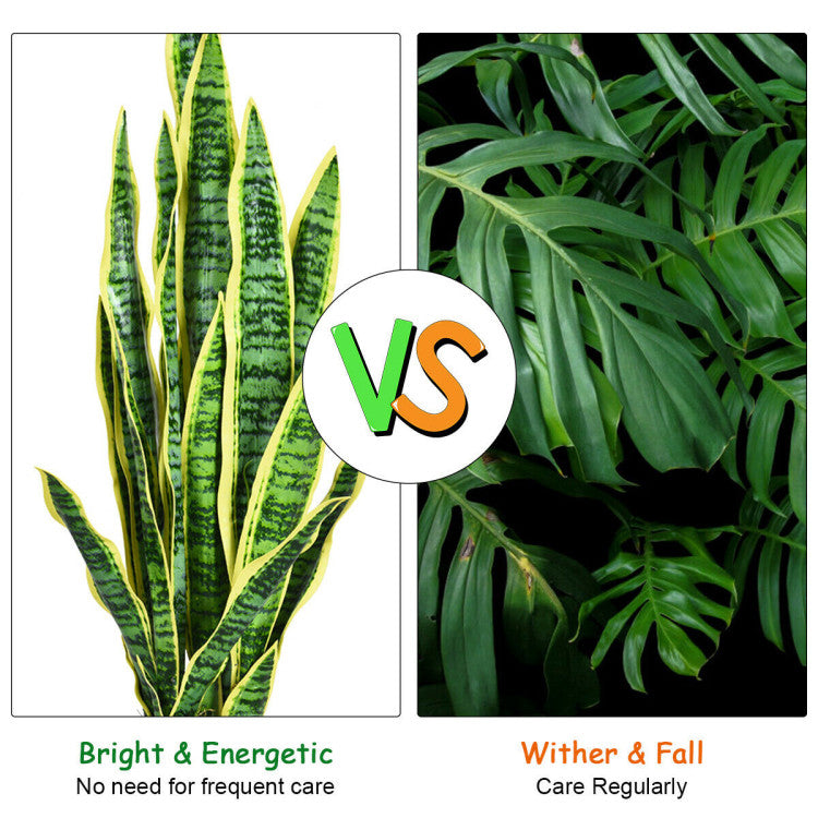 Two types of plants with a 'VS' logo in the center, indicating a comparison between them.
