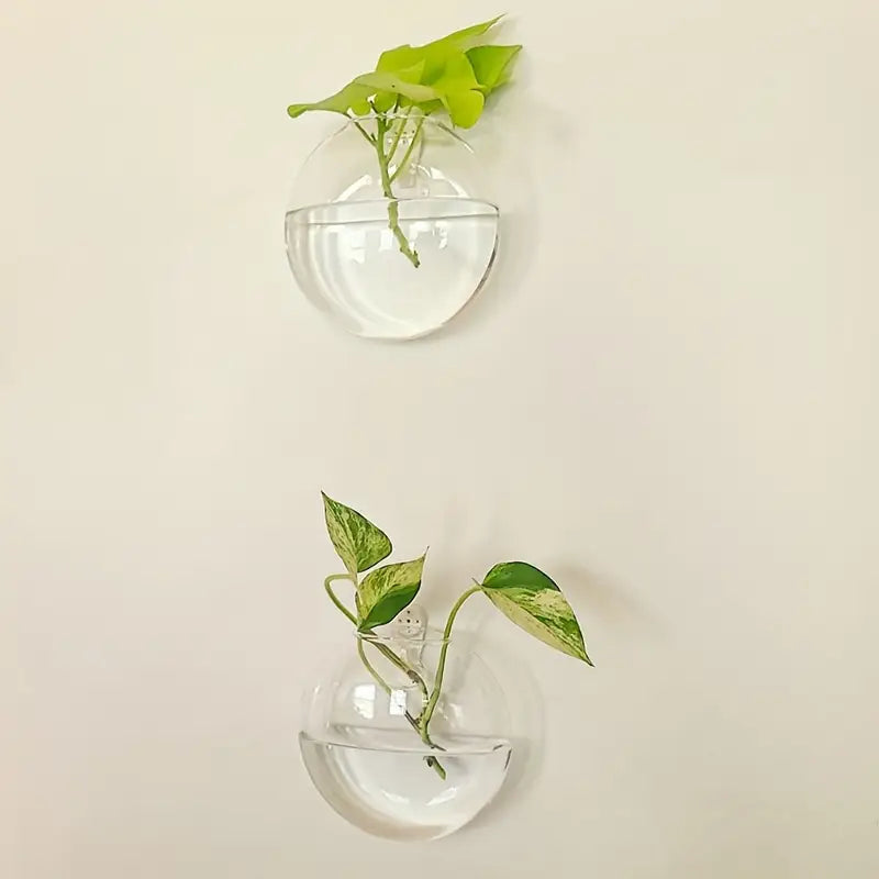 Two clear wall-mounted glass planters with green leaves on a beige wall.