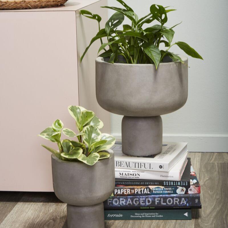 Fresno Concrete Planter - Green Thumb Haven