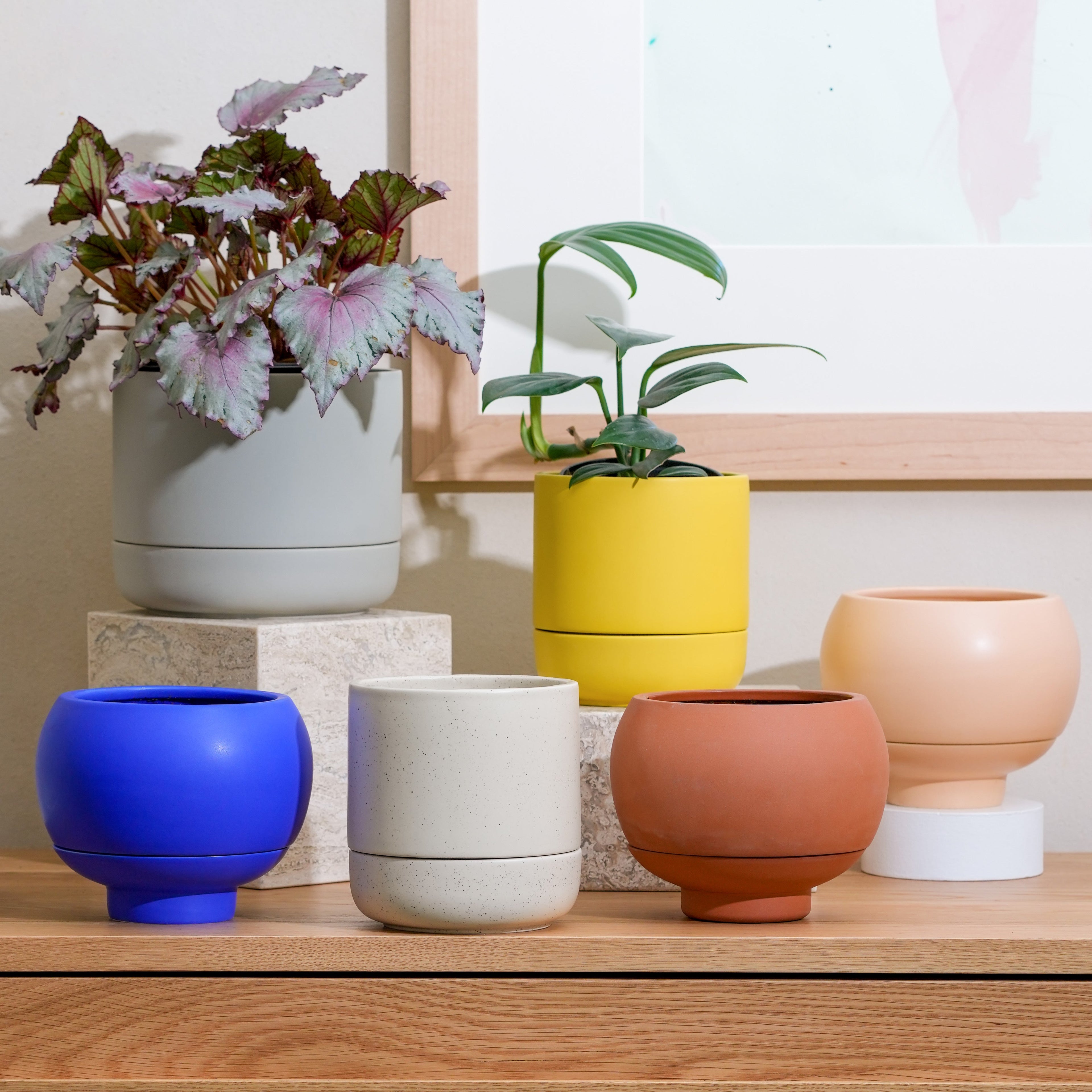 Sutton Ceramic Self Watering Planter - Green Thumb Have