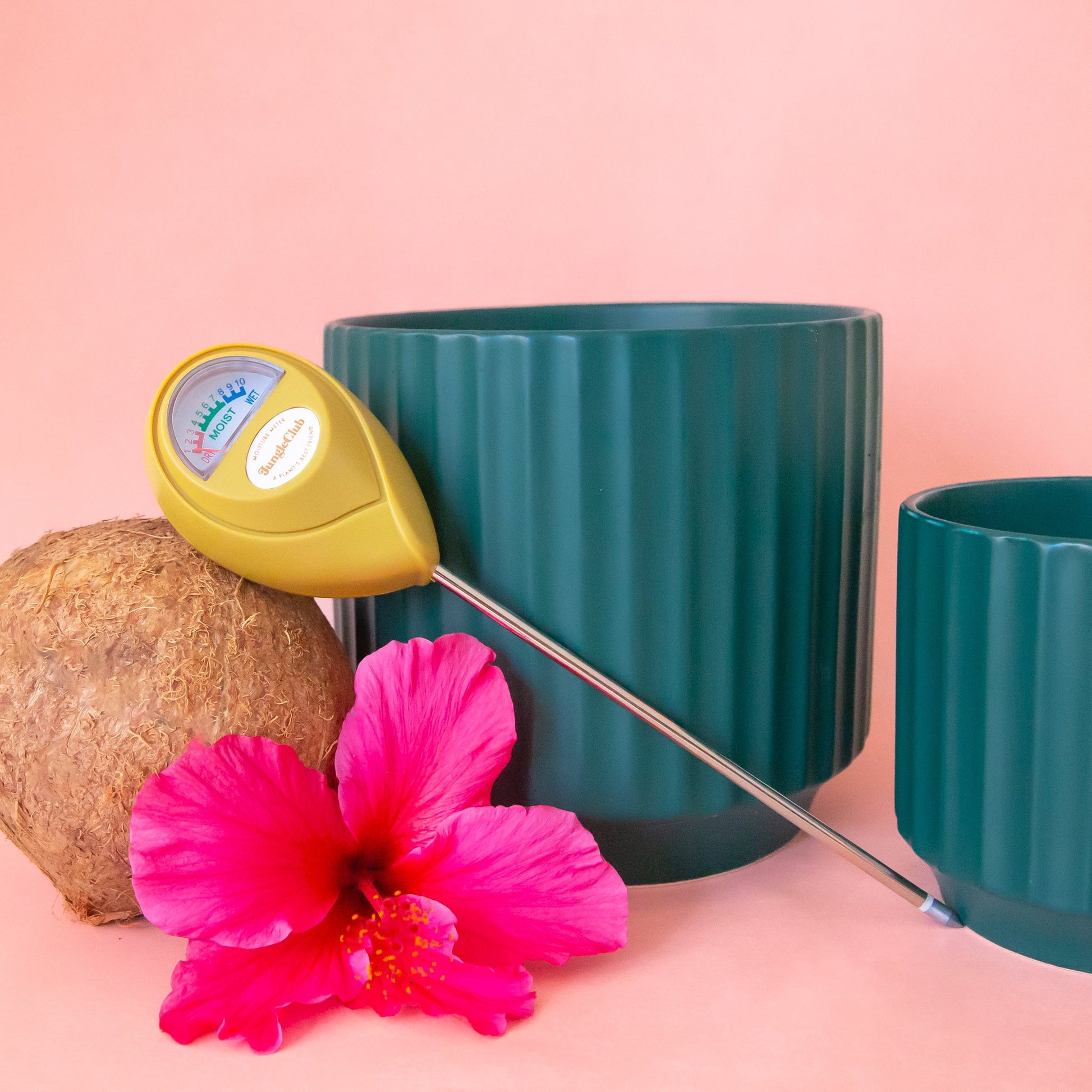Moisture Meter | Green