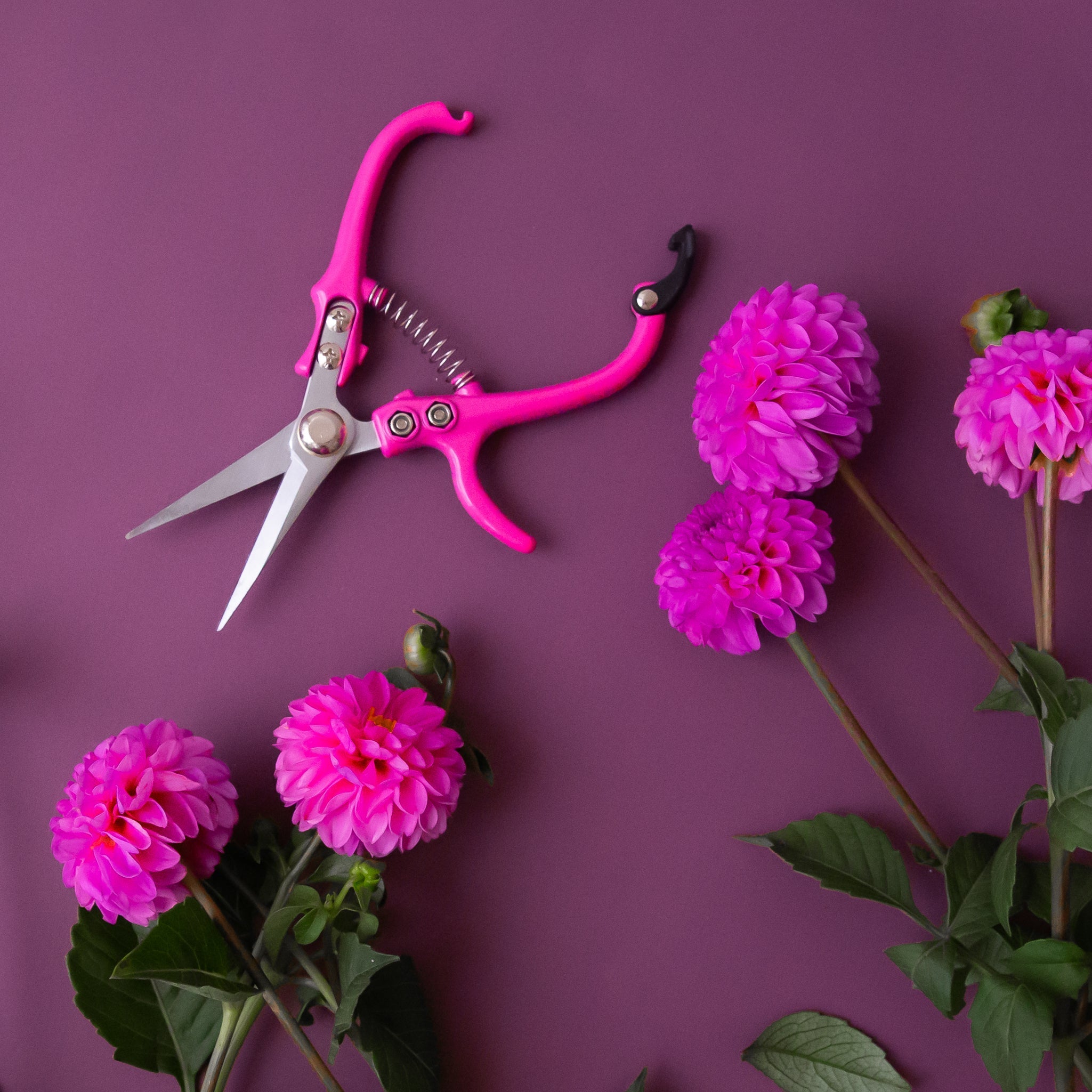 Pruning Shears | Hibiscus Jungle Club