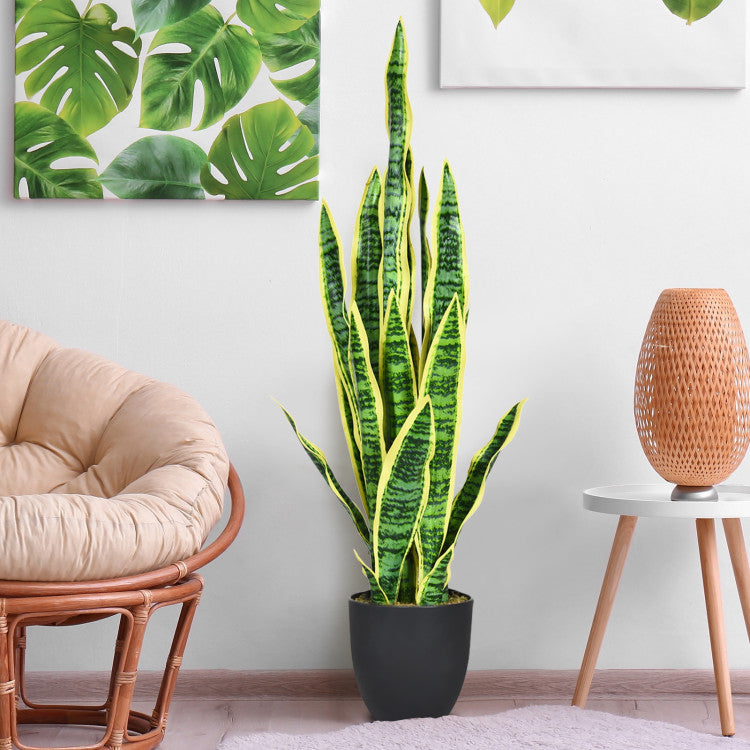 Potted snake plant in a room with a chair, table, and wall art