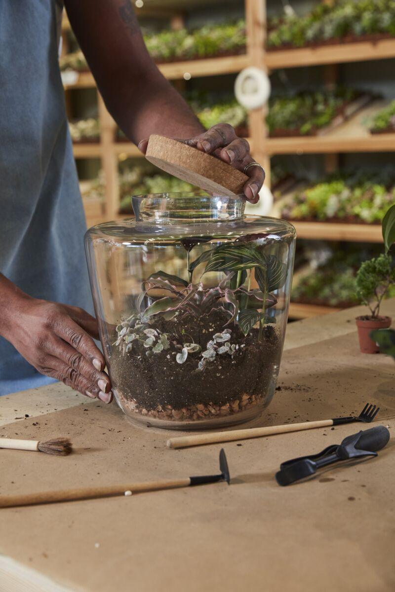 Message Glass Terrarium - Green Thumb Haven