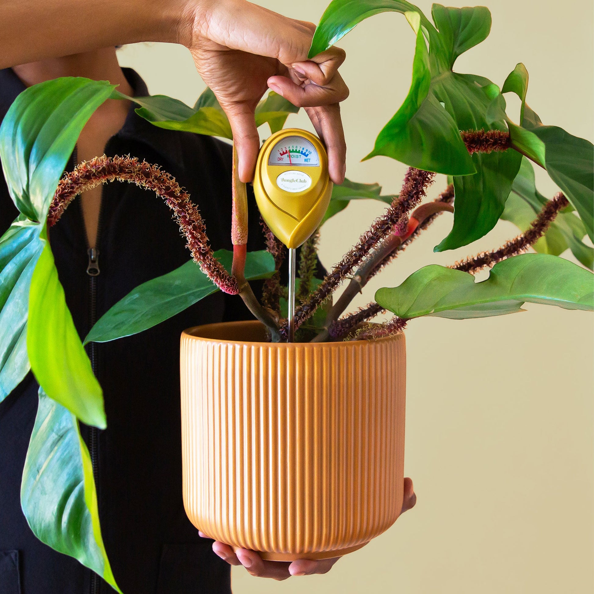 Moisture Meter | Green