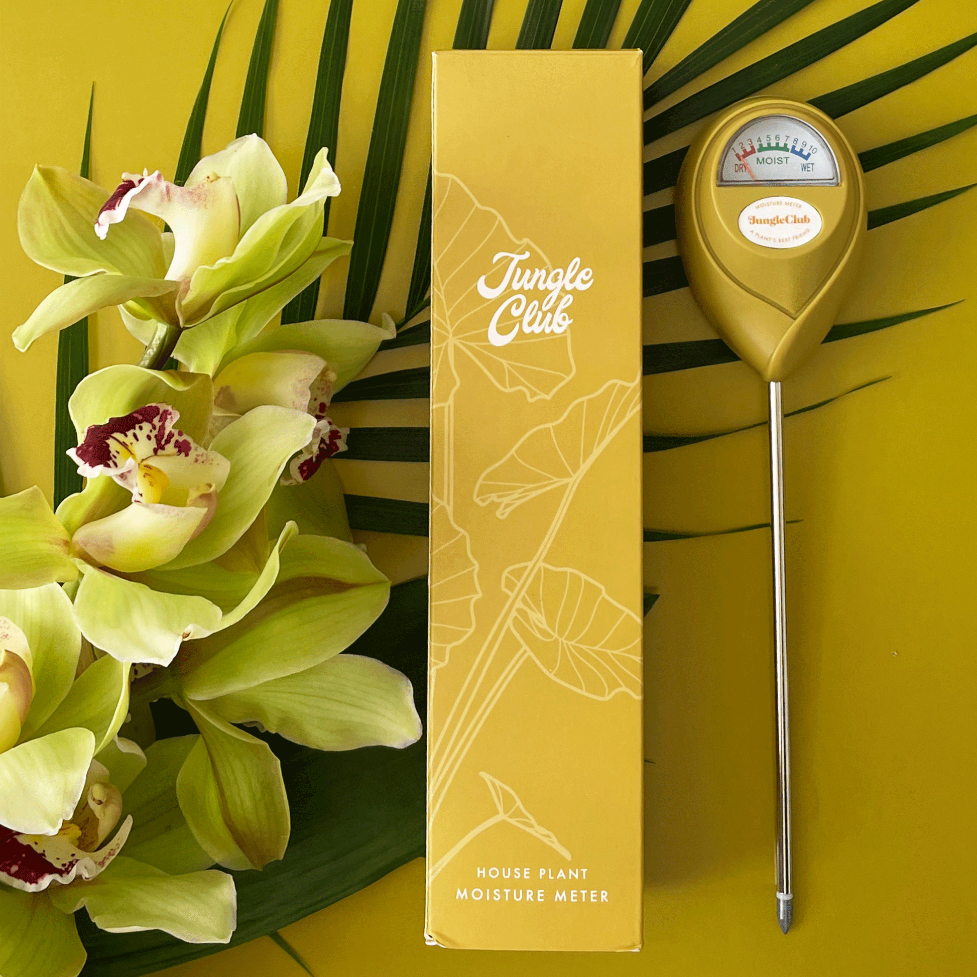 Moisture Meter | Green