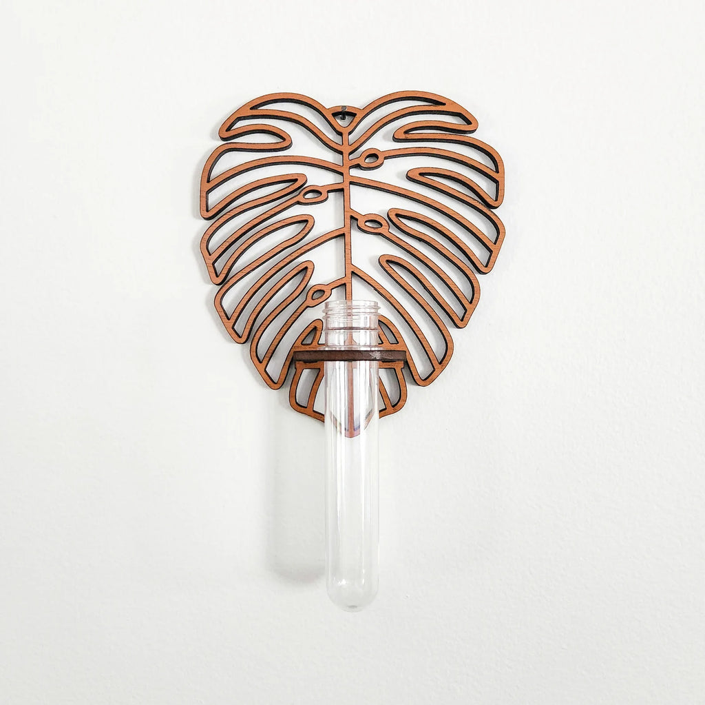 Monstera Wall Propagation Station Green Thumb Haven