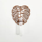 Monstera Wall Propagation Station Green Thumb Haven