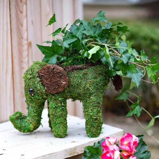 Moss Elephant Planter - Green Thumb Haven