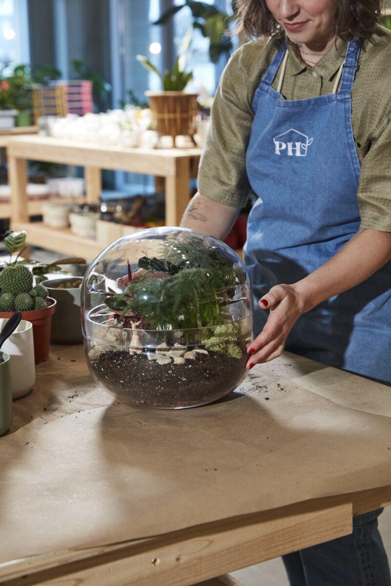 Observatory Glass Terrarium - Green Thumb Haven