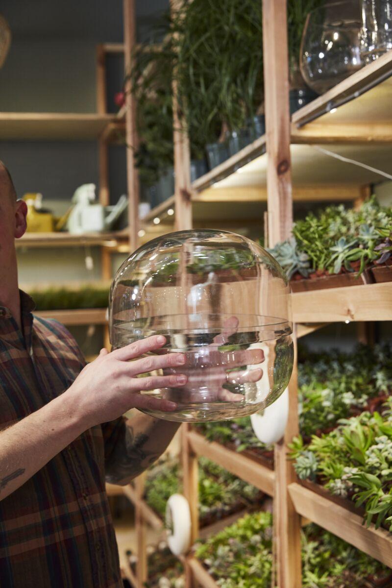 Observatory Glass Terrarium - Green Thumb Haven