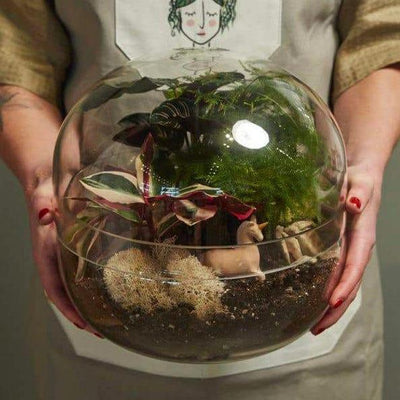 Observatory Glass Terrarium - Green Thumb Haven