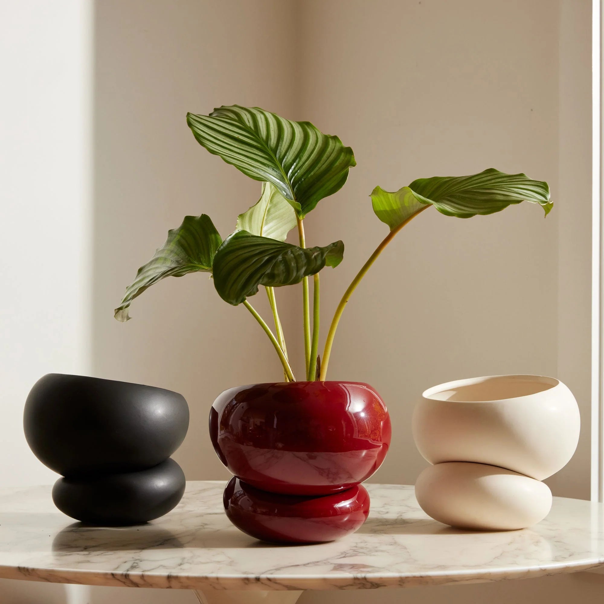 Three unique vases on a marble surface with a plant in the center.