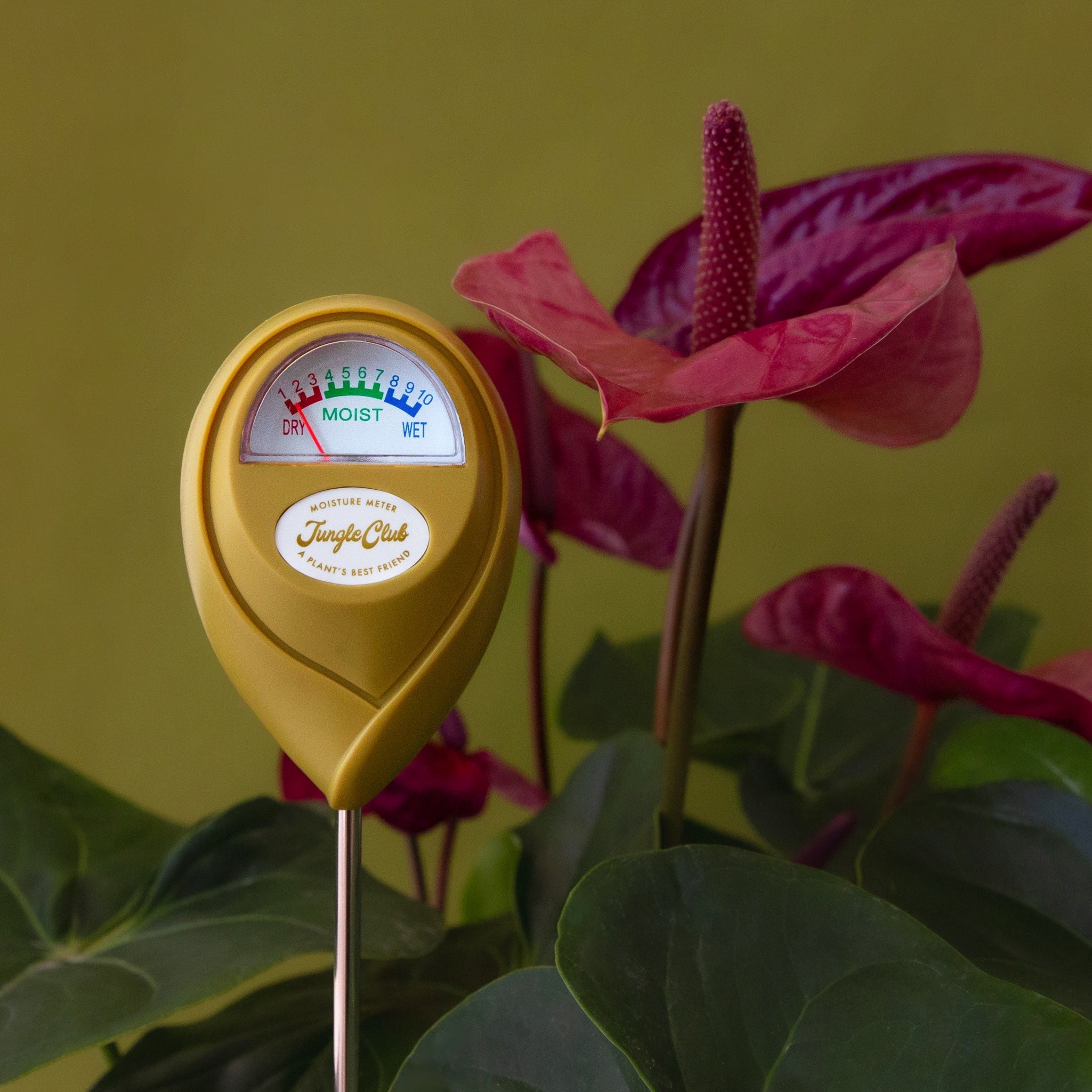 Soil Moisture Meter Jungle Club