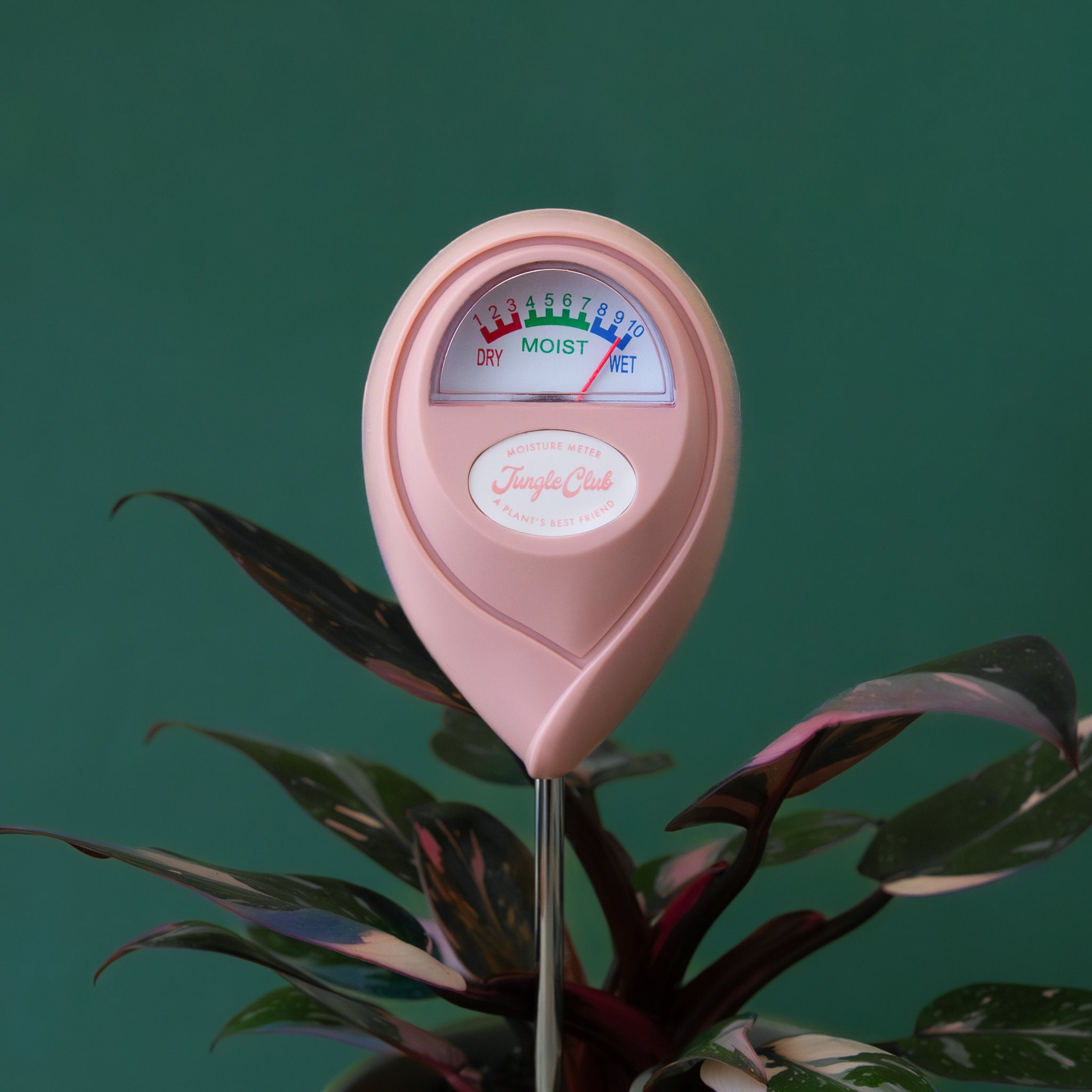 Moisture Meter | Pink - Green Thumb Haven
