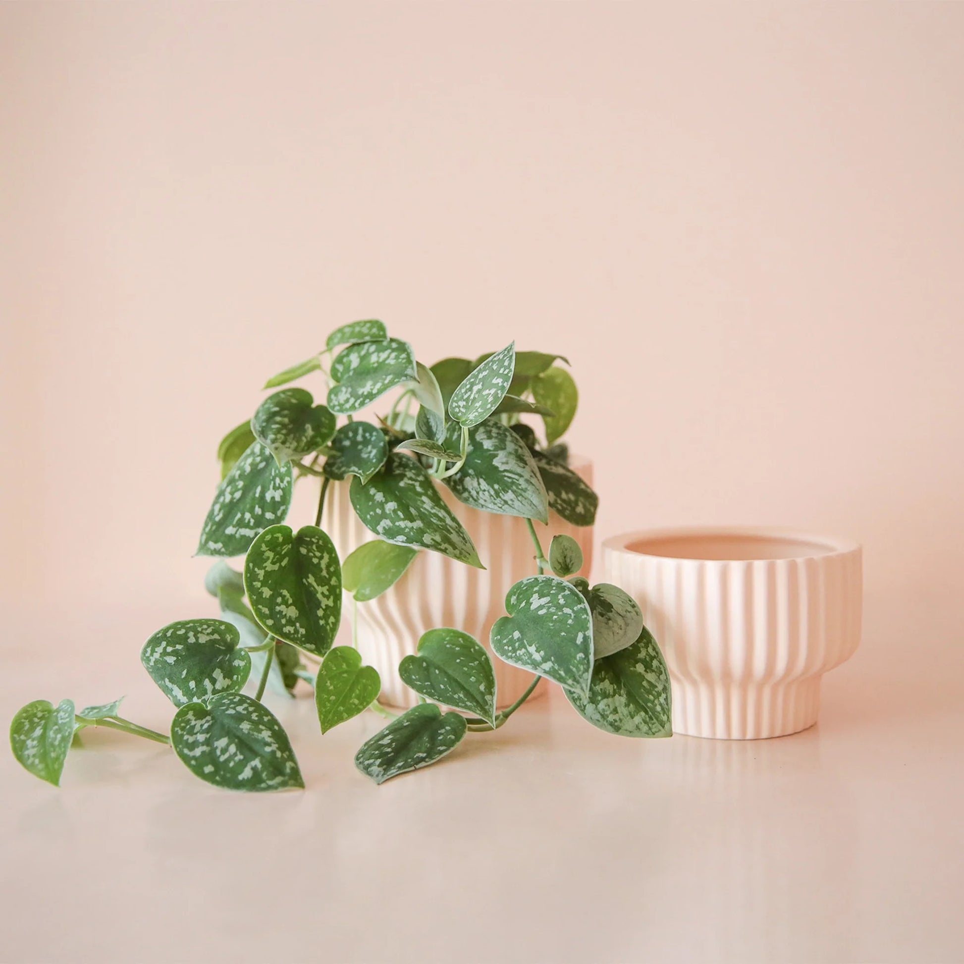 Presley Pedestal Ceramic Planter