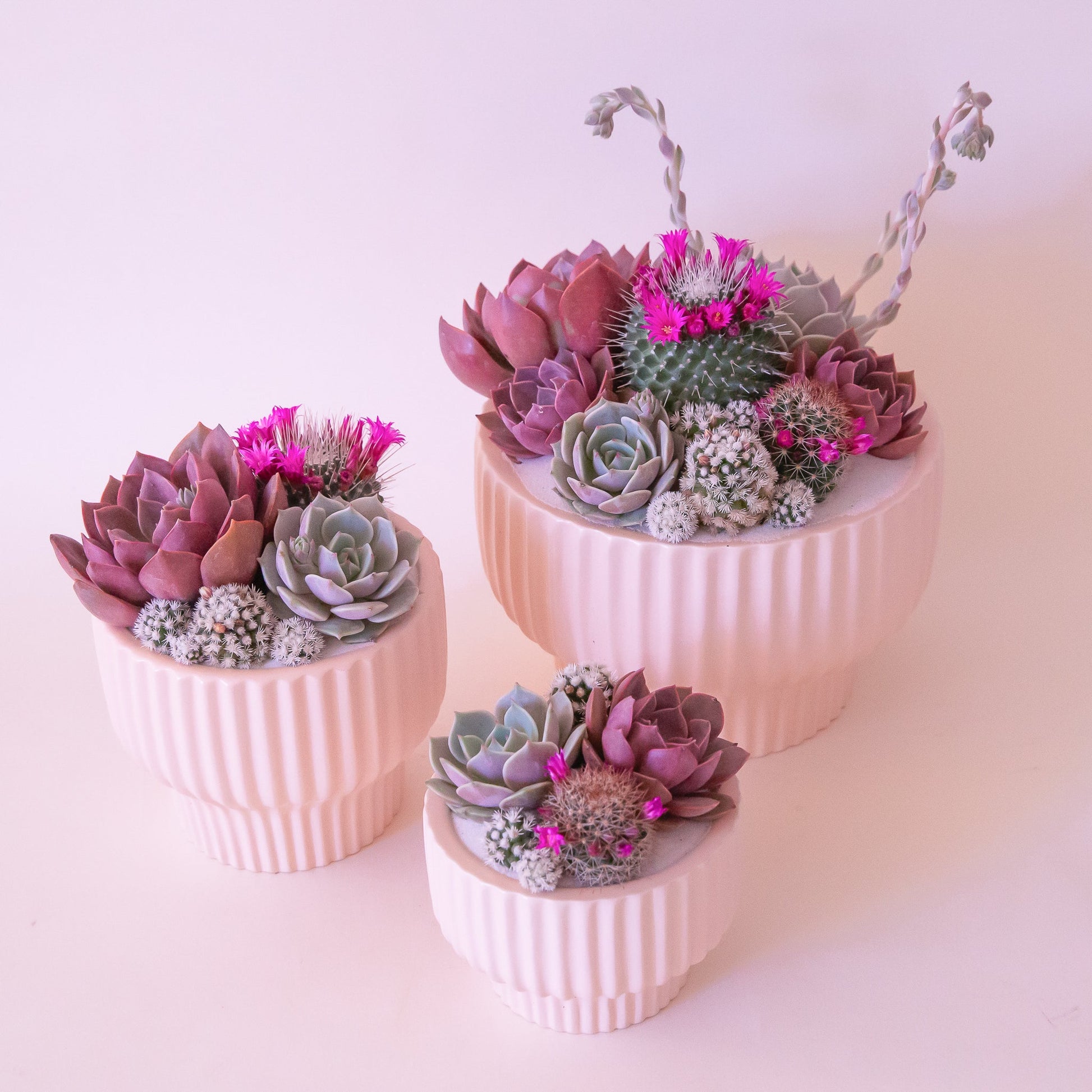 Presley Pedestal Ceramic Planter