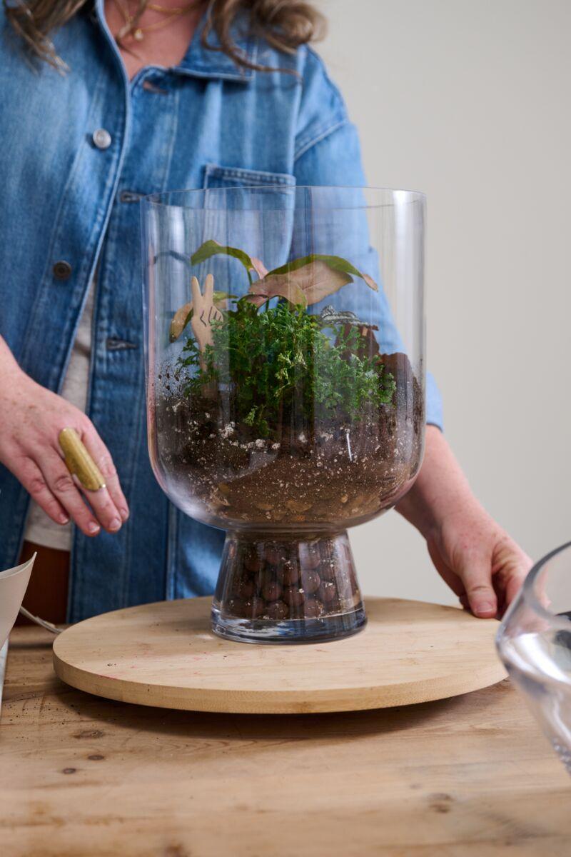 Reservoir Glass Terrarium - Green Thumb Haven