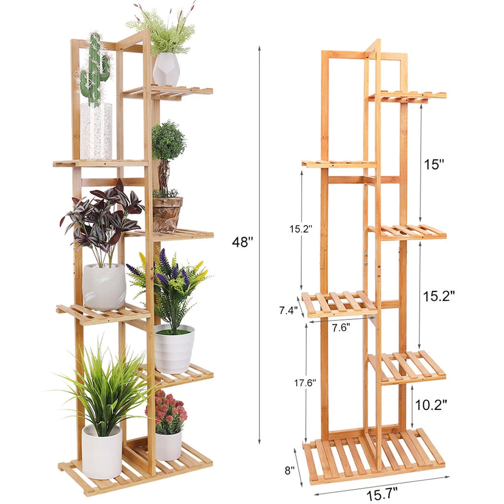 Bamboo plant stand with plants and dimensions on a white background