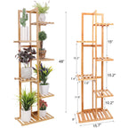 Bamboo plant stand with plants and dimensions on a white background