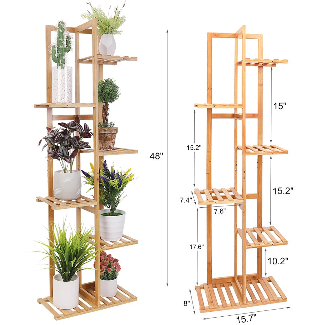 Bamboo plant stand with plants and dimensions on a white background