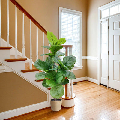 Silk Fiddle Leaf Ficus Faux Tree - Green Thumb Haven