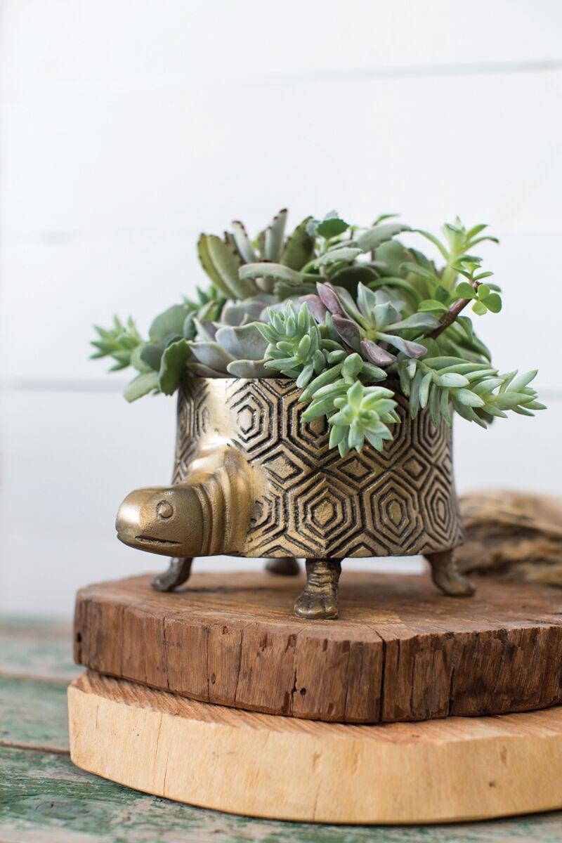 Tommie Turtle Planter - Green Thumb Haven