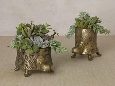 Tommie Turtle Planter - Green Thumb Haven